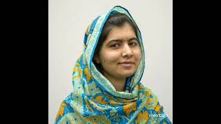Summary of the book I am Malala, chapter 19 and 20, 440179501