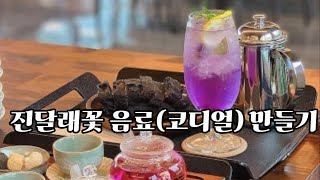 #진달래꽃 음료 (코디얼) 만들기