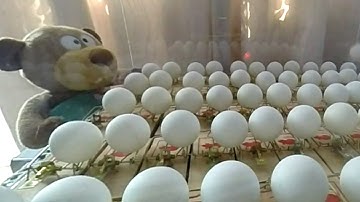 Mousetrap Fission - GoPro Hero 3+ Plus Slow Motion - Chain reaction