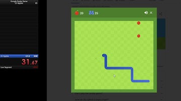 Google Snake Game - 25 Apples Multimode Standard Twin Large Map WR