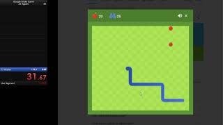 Google Snake Game - 25 Apples Multimode Standard Twin Large Map Wr
