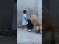 El mejor amigo ❤️