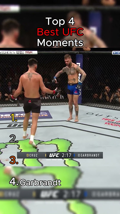 Top 4 Best UFC Moments