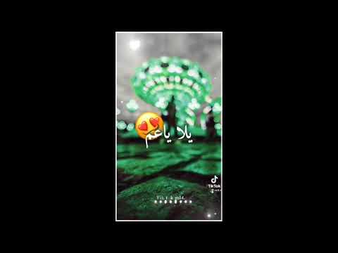 تجي انا وانت نركب  ترند التيك توك تجي انا وانت نشرب اغنيه مصريه ترند التيك توك تجي انا وانت
