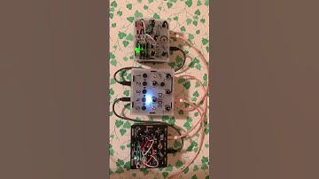 Bastl Kastle v1 + v1.5 + Dude