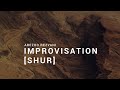 Arezoo Rezvani - Improvisation: Shur