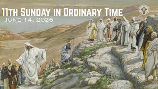St. Pius Church Live Stream