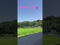 群馬県中之条町の風景@junjunjunhorn