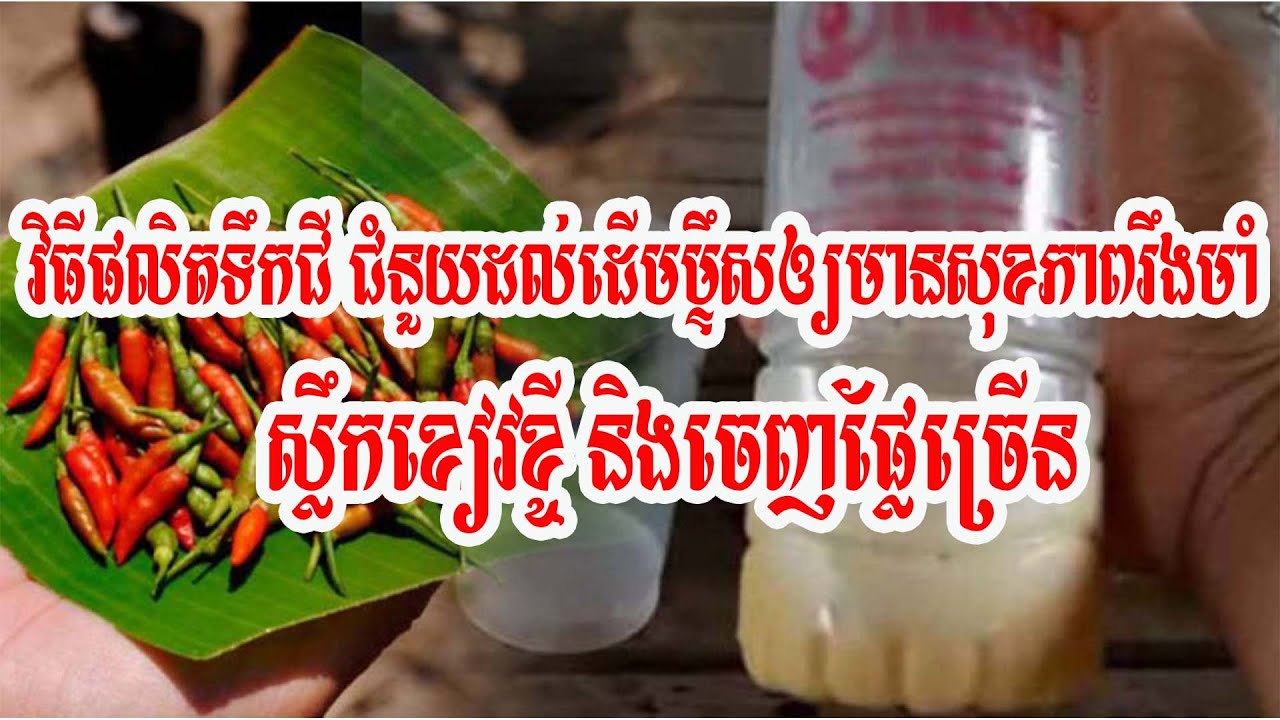 how to make natural fertilizers for peppers have a lot of fruit YouTube