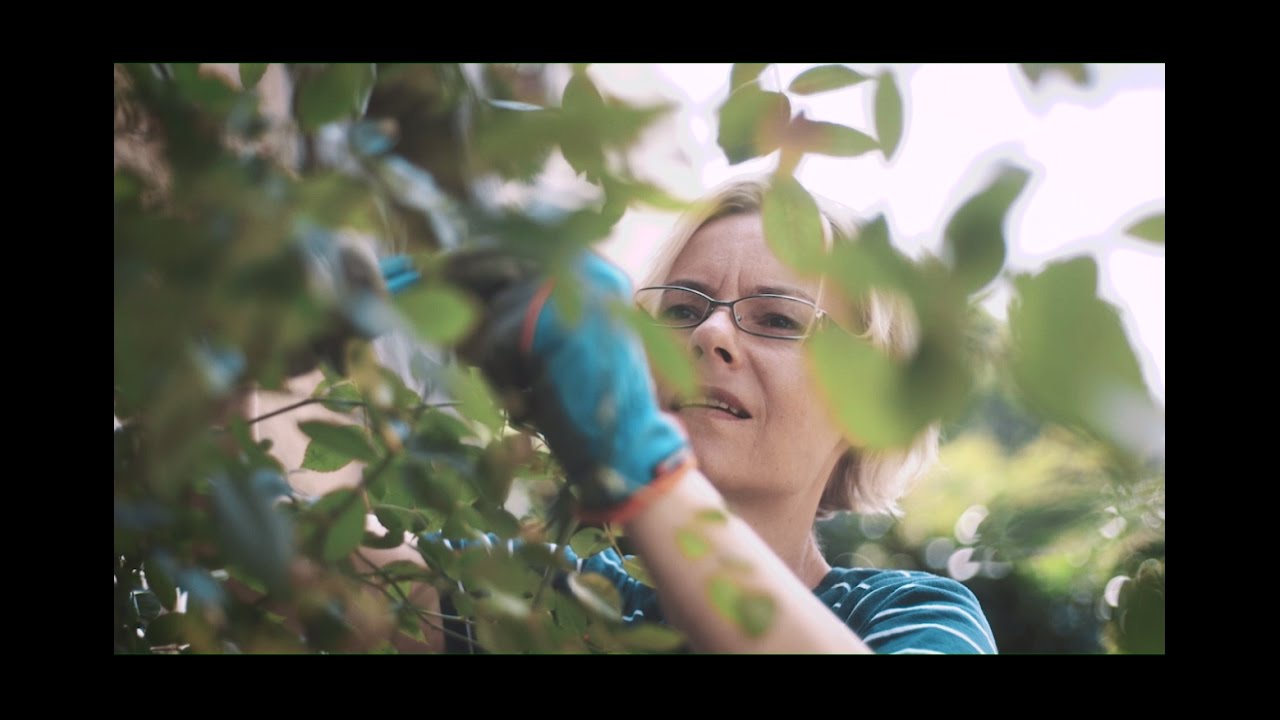 ratgeber leitfaden Autorin Claudia Winter ganz privat: Goldmann Verlag