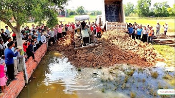 Complete Project To Build New House! 5 Ton Dump Truck Unloading Soil & Skill Bulldozer Pushing Soil