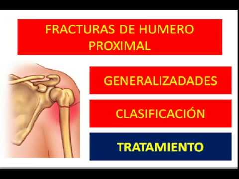 fractura de humero proximal tiempo de recuperacion