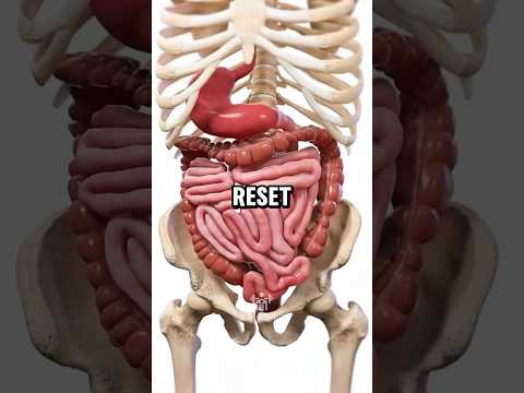 You NEED This For Gut Health 1 Tbsp Chia A Day