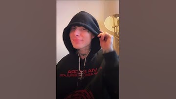 9mice - untitled (snippet 21.01.25)