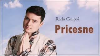 Colaj de Pricesne - Radu Cimpoi