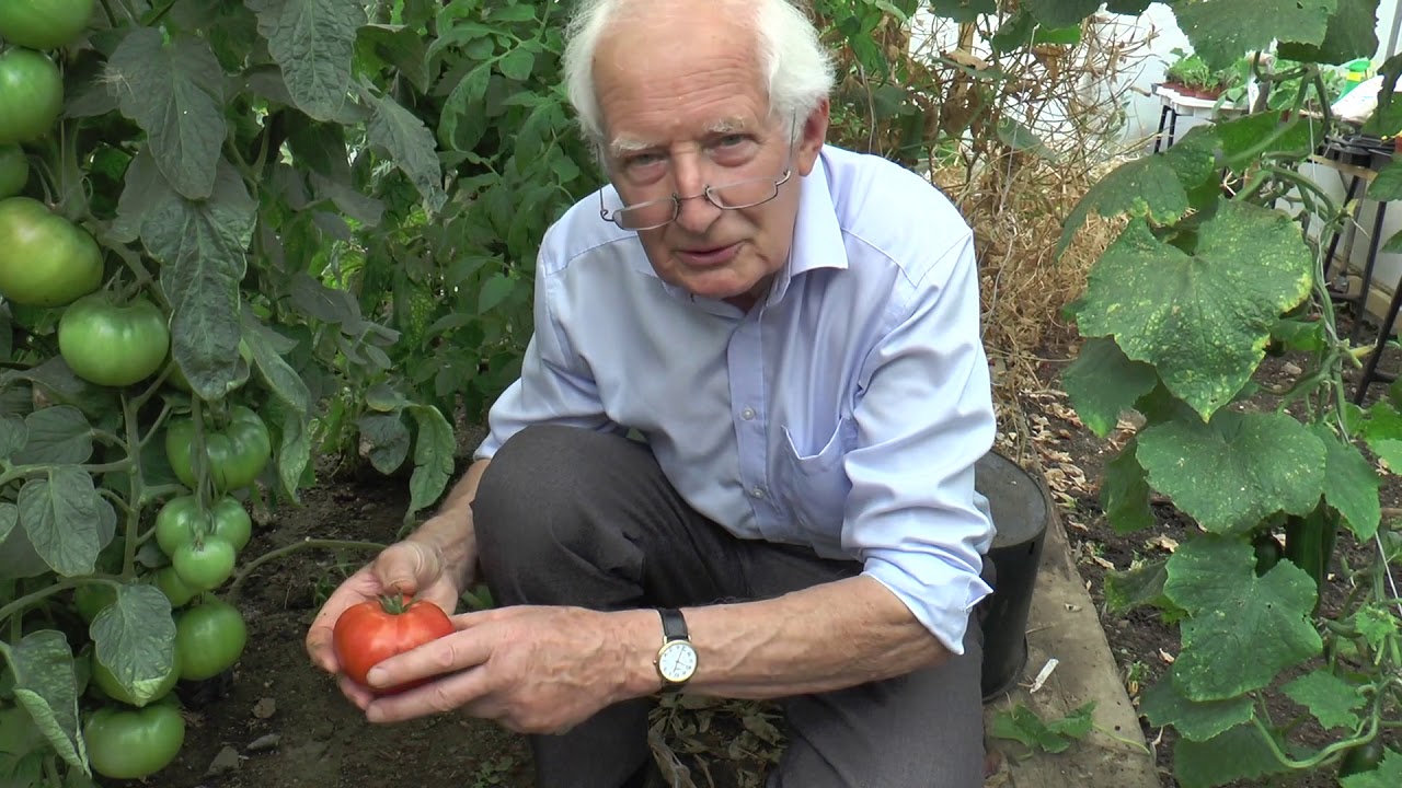 Treating white fly and red spider mite | Garden Ideas | Peter Seabrook