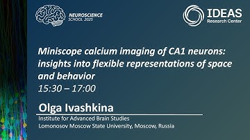 Miniscope calcium imaging of CA1 neurons
