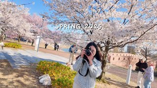Japan Life 🎌 || Toyama in Spring