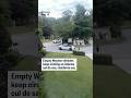 Empty Waymo vehicles keep circling an Atlanta cul de sac, residents say