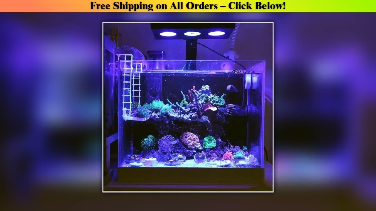 Smart Coral Light 30W 40W WiFi Full Spectrum LED Lamp for Aquarium Fish Tank Color Temperature