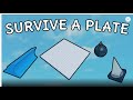 Plate shananigans