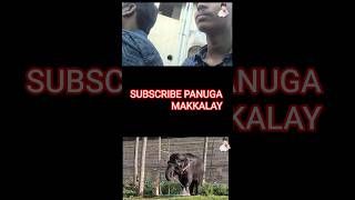 Watch Full vlog .Mannarukudi theme park ... funtastic.... #mannarkudi #vlog #travelvlog #tourist