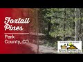 Foxtail pines park county co  jefferson real estate inc
