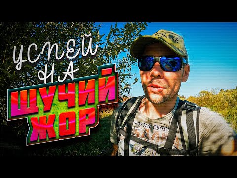 НЕ ПРОПУСТИ ЖОР ЩУКИ ЭТОЙ ОСЕНЬЮ! МЕСТНЫЕ СТАВЯТ ПО 30 РОГАТОК И ТЕЛЕВИЗОРОВ В ЭТИХ МЕСТАХ!