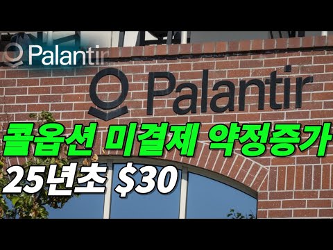 팔란티어 PLTR 콜옵션 미결제 거래량에서 상승을 느껴본다 