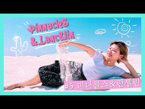 [호주 워홀] 피나클스 사막&란셀린 당일치기 여행 - Day trip to Pinnacles&Lancelin desert