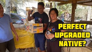 PAANO MAGPALABAS NG PERFECT UPGRADED NATIVE CHICKEN?!