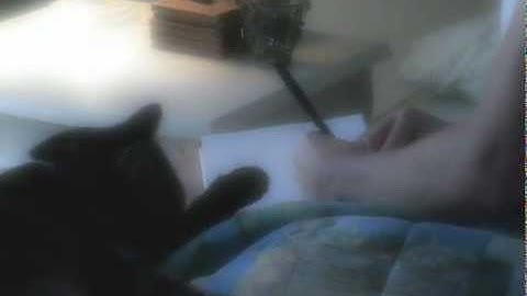 How to Remember Your Dreams | Scene from "DreamTending"