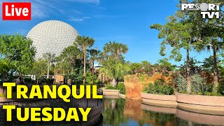 Live: Tranquil Tuesday at Epcot  Relaxing Walt Disney World Live Stream  91923