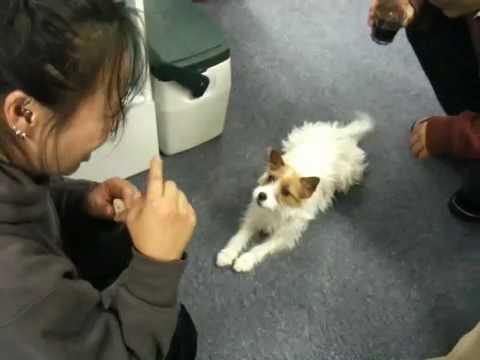 宴会でお歌の練習