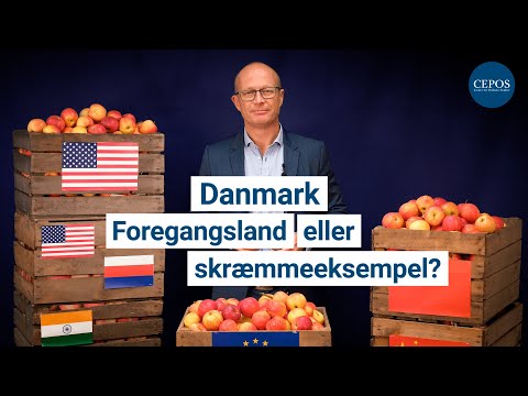 Danmark - Foregangsland eller skræmmeeksempel?