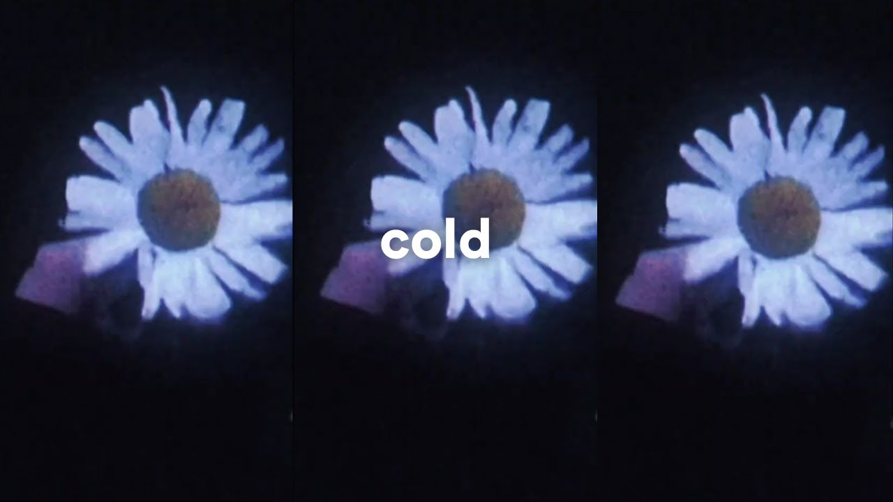 Obejrzyj SNAKKY - cold 🥶 (Visualizer) w YouTube Obejrzyj SNAKKY - cold 🥶 (Visualizer) w YouTube