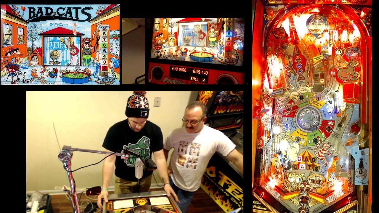 Bad Cats Pinball Gameplay with Stashkid13