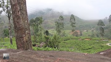 محمد رشاد الشريف سورة الممتحنة 60 مصطفى غريب