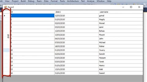 Visual Basic .net: Hiding default column in datagridview
