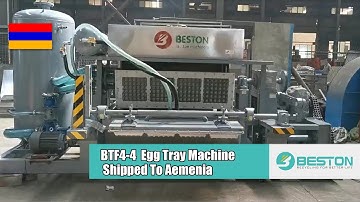Beston Automatic Egg Tray Machine to Armenia | 2500PCS/H