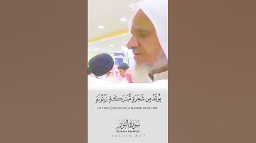 تلاوة عطرة بصوت عذب #القرآن_الكريم #القرانالكريم #تلاوة_خاشعة #تلاوات