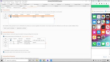 BurpSuite Certificate Installation and SSL Bypass on iOS/Capturing traffic in iOS Device