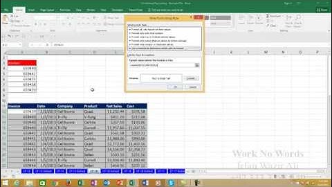 18. Conditional Formatting Part 6 Excel 2013  Urdu Tutorials by Irfan Bakaly