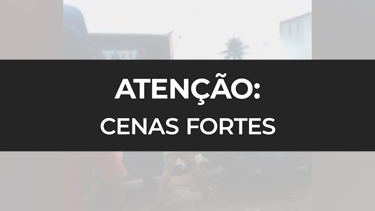 Animais fardados