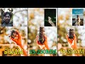 WHICH LENS TO BUY? | CANON 50MM 1.8 | 55-250MM | CANON 18-55MM