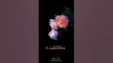 صباح الخير 🌷اجمل حالات واتس اب مقاطع قصيره🌷 قران كريم سورة يونس 🌷 القارئ سعد الغامدي🌷 بدون حقوق