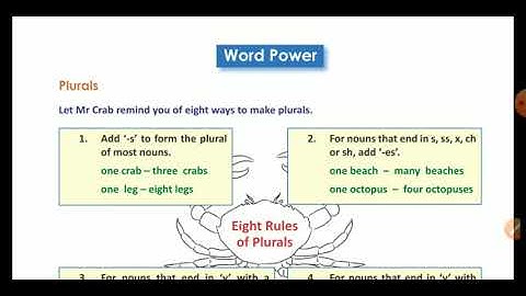 Mylestone class 3 English Plurals