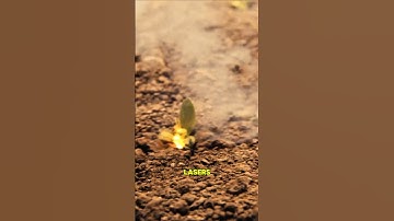 Laser weeding robot, equipped with over 30 high-definition cameras and AI technology.