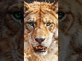 animal transformation#animaltransformation @Animal_transformation11121