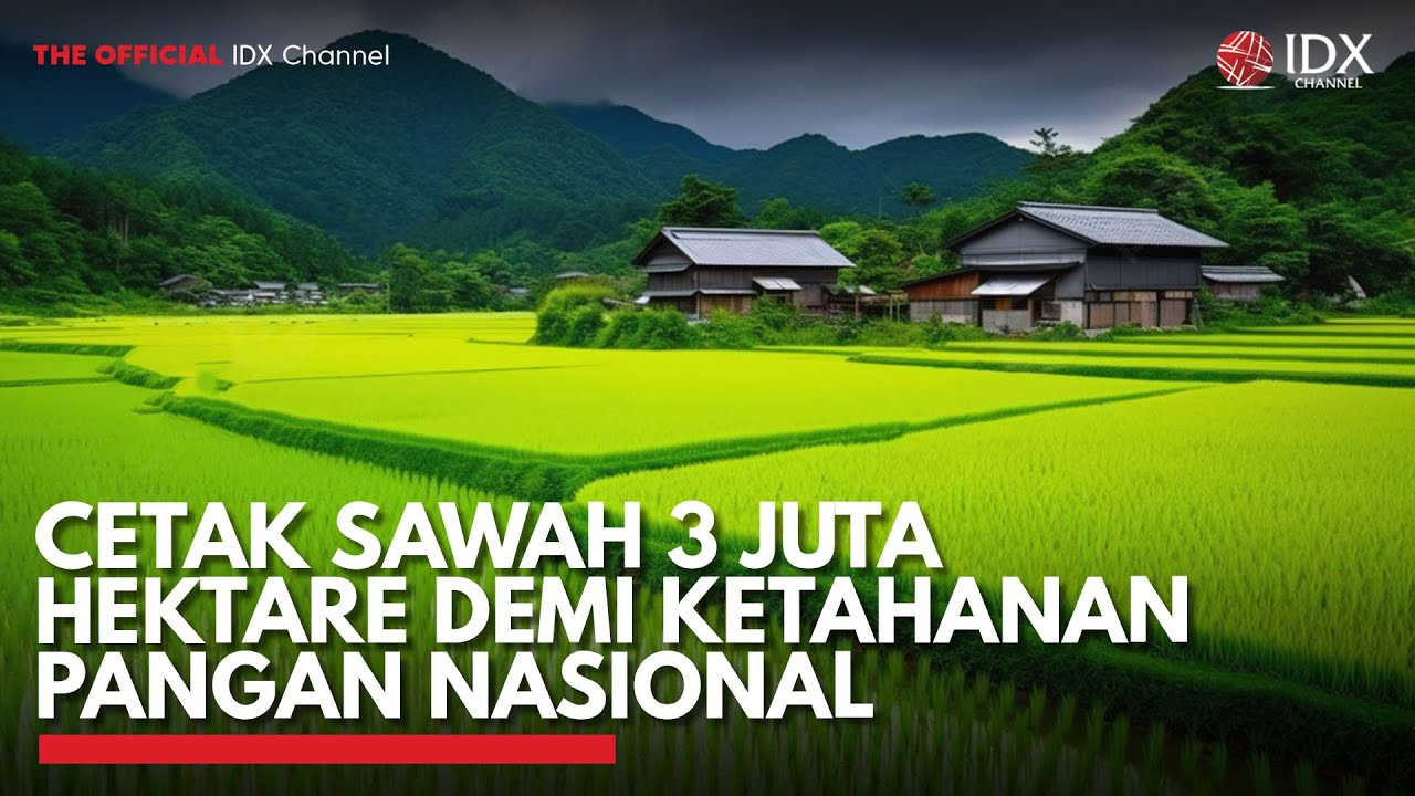 Cetak Sawah 3 Juta Hektare Demi Ketahanan Pangan Nasional | IDX CHANNEL